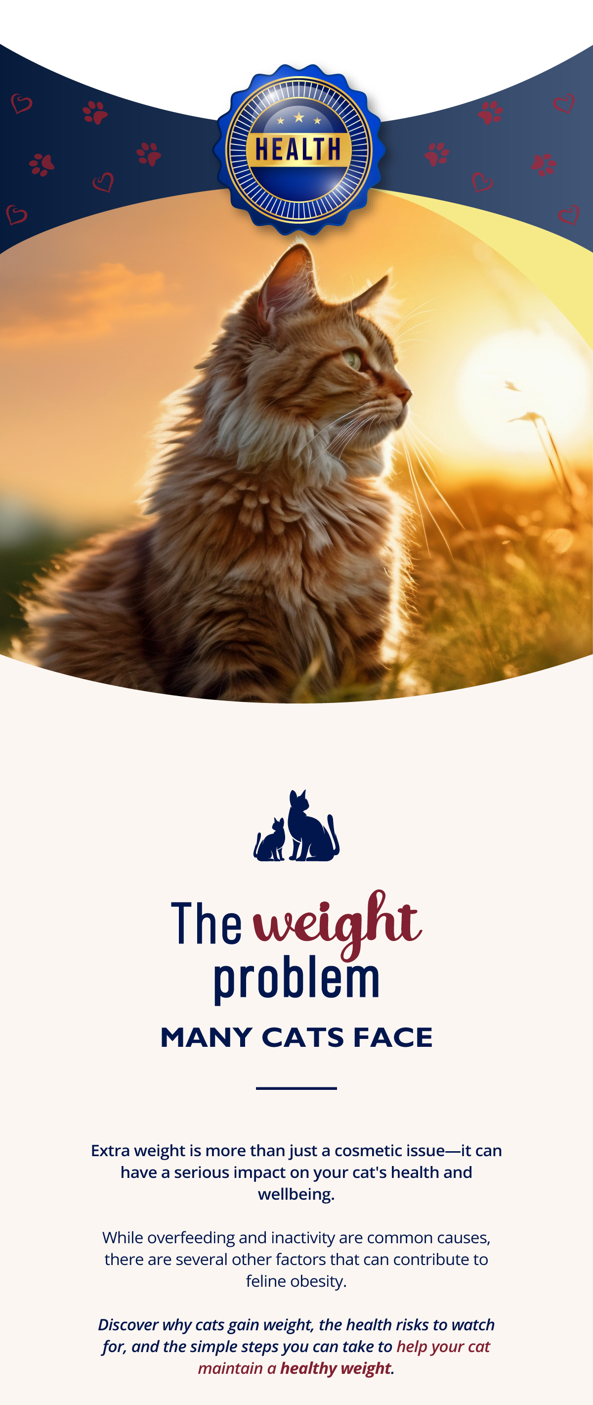 Extra weight is more than just a cosmetic issue it can have a serious impact on your cat's health and wellbeing.