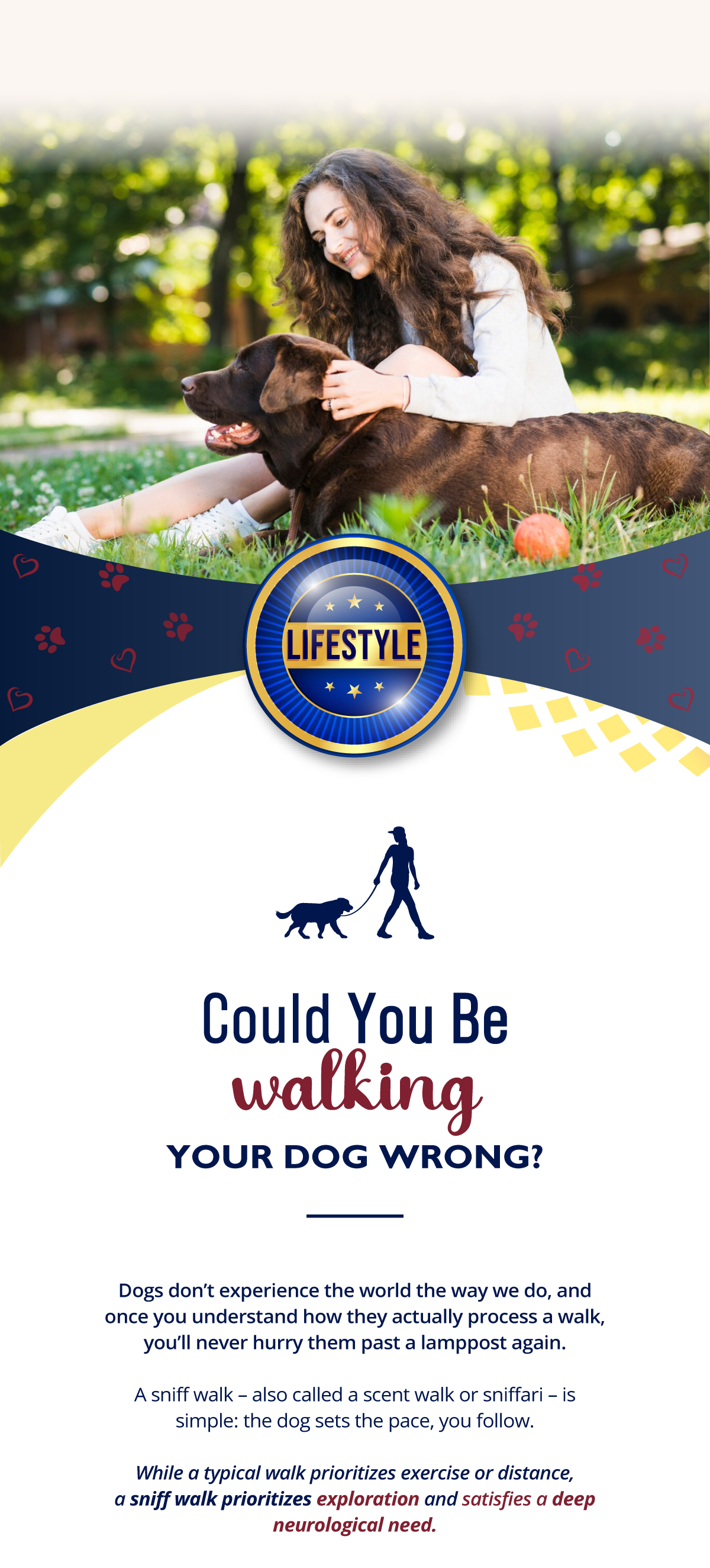 Dogs don�t experience the world the way we do, and once you understand how they actually process a walk, you�ll never hurry them past a lamppost again.