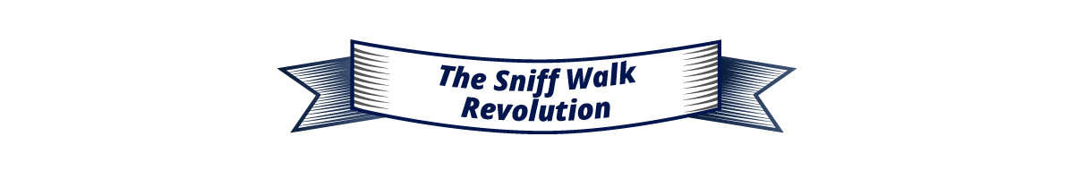 The Sniff Walk Revolution