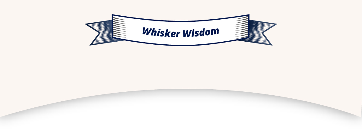 Whisker Wisdom