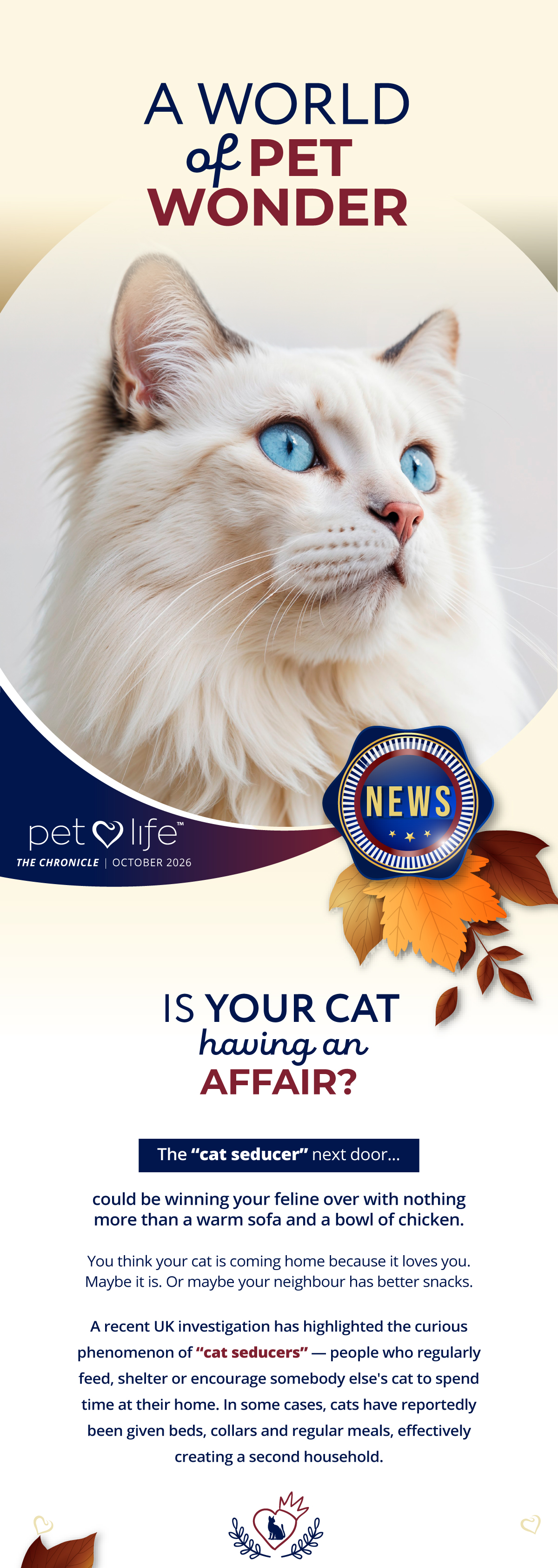 The secret language of your cat's eyes