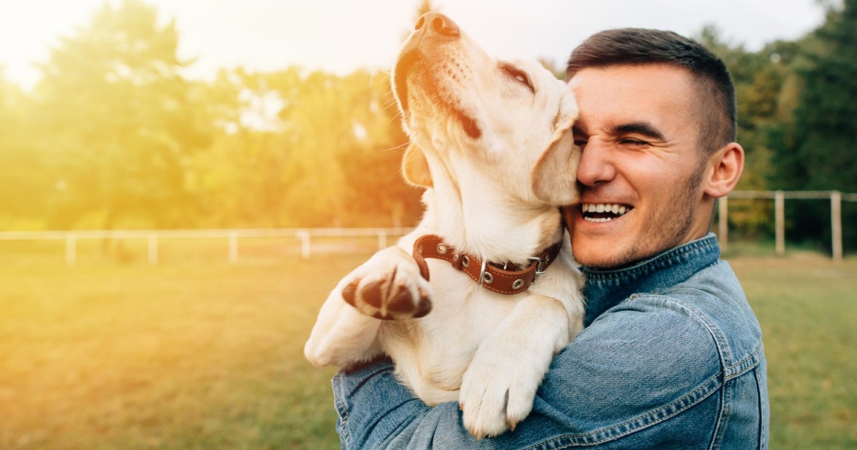 Here’s How To Improve Your Dog’s Wellbeing PetlifeUK™